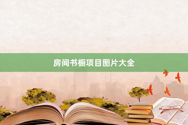 房间书橱项目图片大全